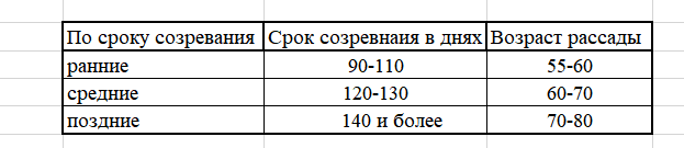 Когда сажать перцы и баклажаны, возраст рассады