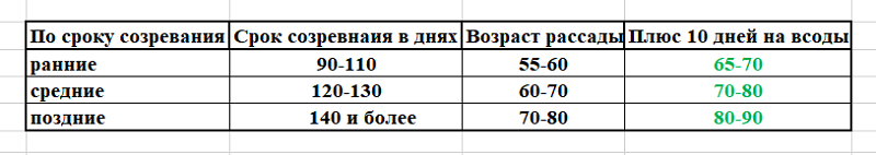 Когда сажать перцы и баклажаны, возраст плюс время на всходы