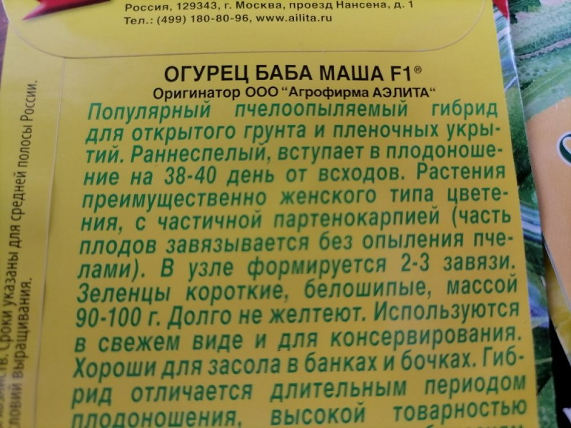 Пчелоопыляемые огурцы плохо растут и плодоносят в теплицах