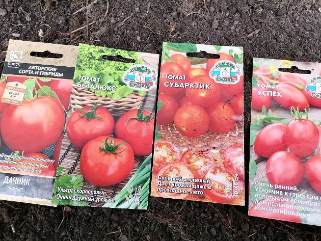 Семена томатов без рассады 