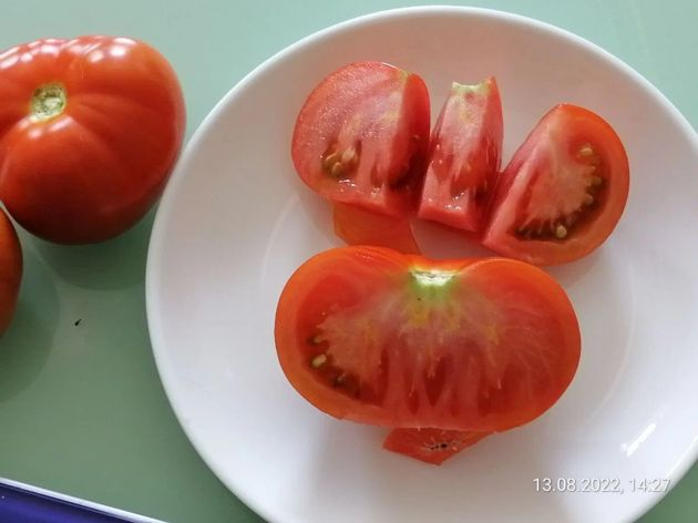 Отзыв о томатах без рассады Беталюкс