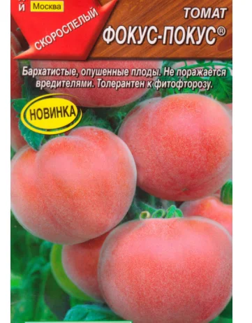 Опушенные томаты сорта Фокус-покус