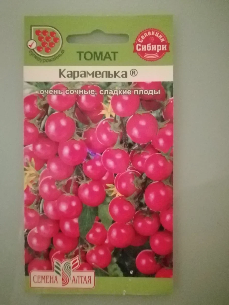 Комнатные помидоры Карамелька вообще не взошли