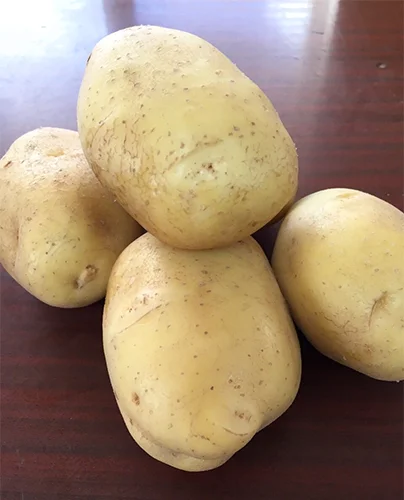 Белорусские сорта картофеля - Бриз