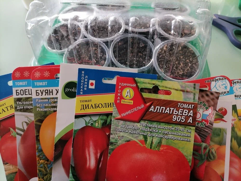 Семена томатов для выращивания в открытом грунте 