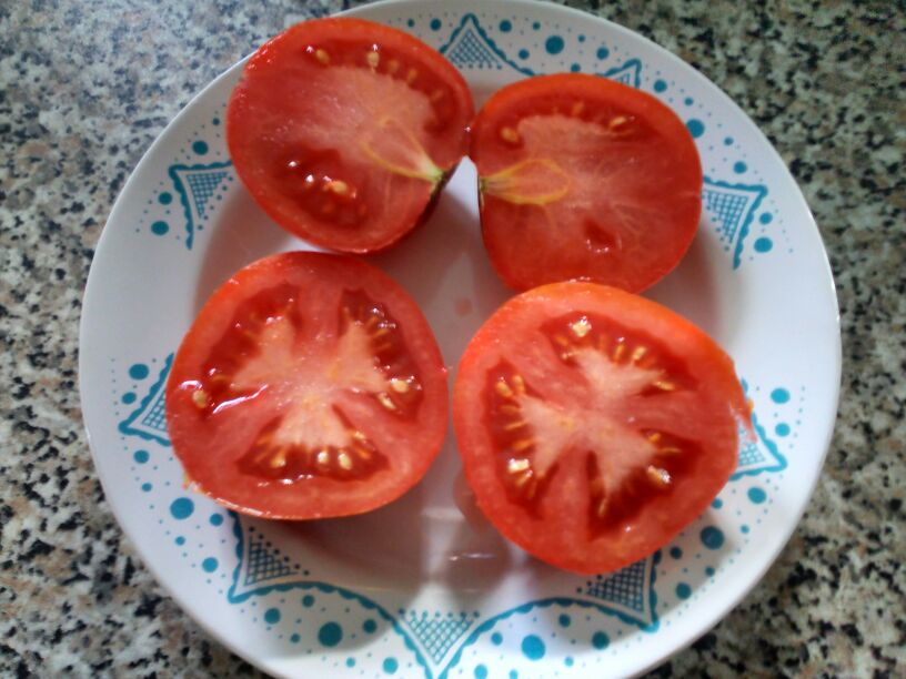 Есть сорта томатов вкуснее Саньки с такими же сроками созревания и урожайностью