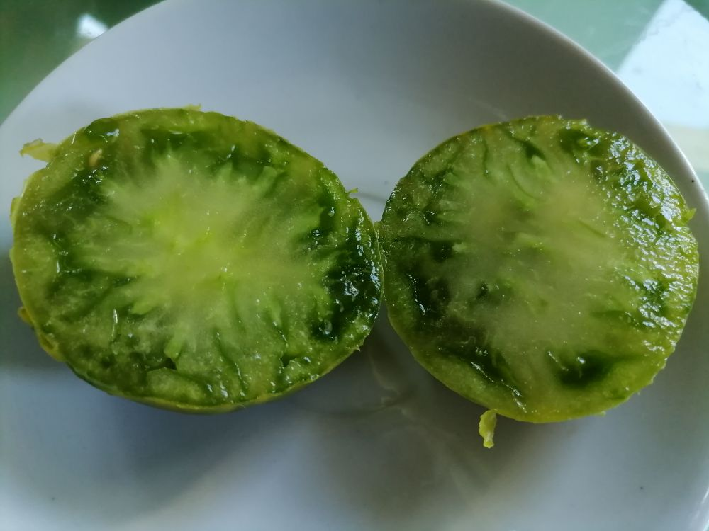 Зеленые сорта томатов просто не лезут в рот 