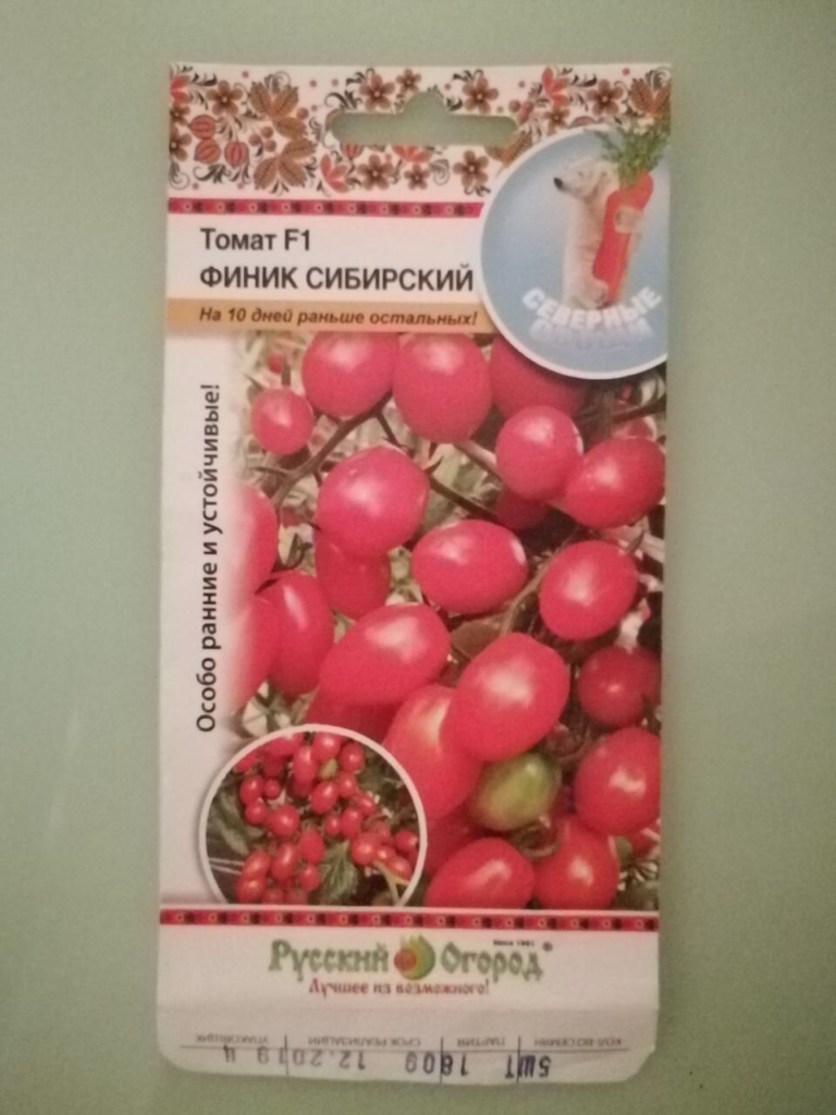 Семена Сибирского финика