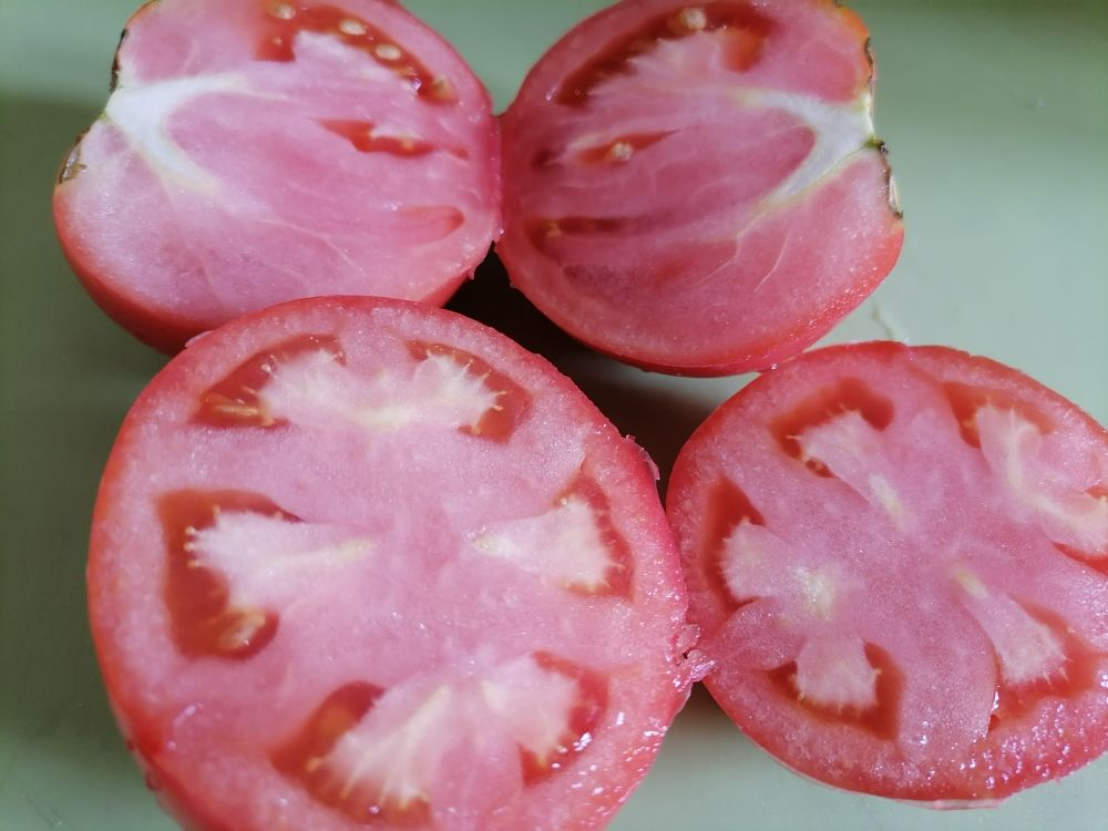 Урожайные сорта томатов некрупных размеров тоже вкусные и мясистые