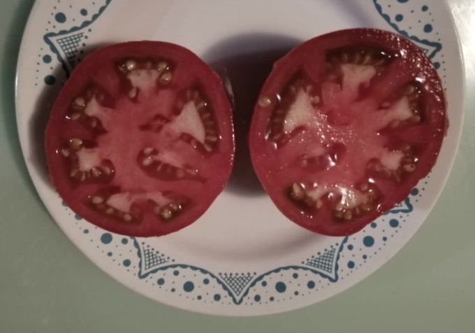 крупные мясистые томаты Сумочка