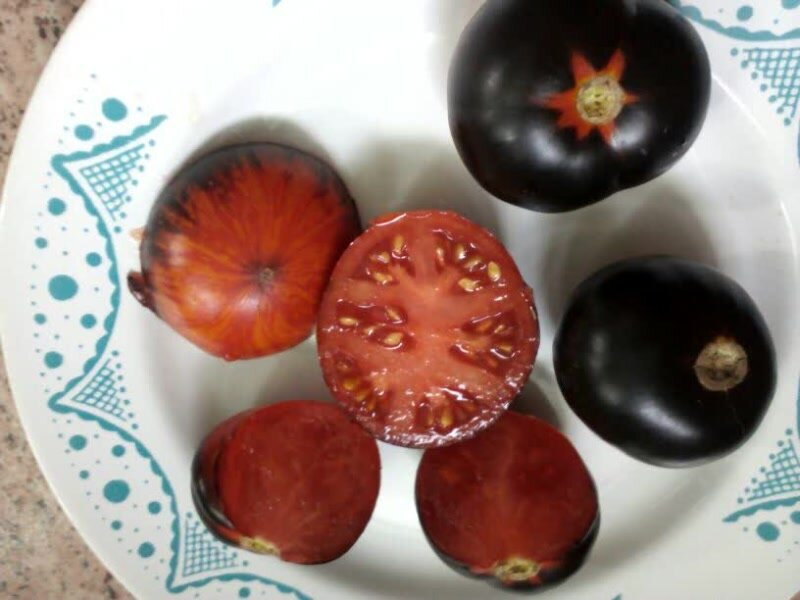 Черные томаты, поспевая, краснеют