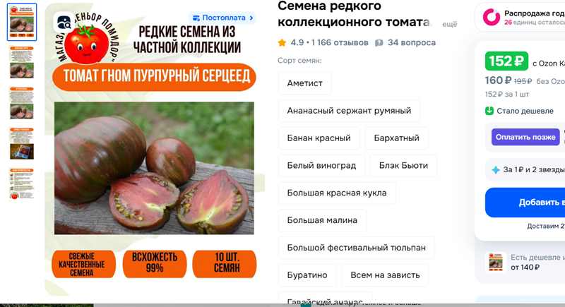 Томатные гномы описание Пурпурного сердца