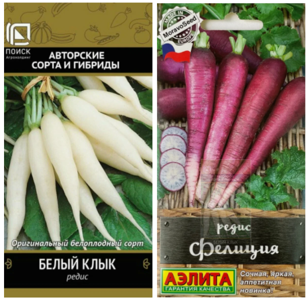 Красивый редис белый и фиолетовый, фото