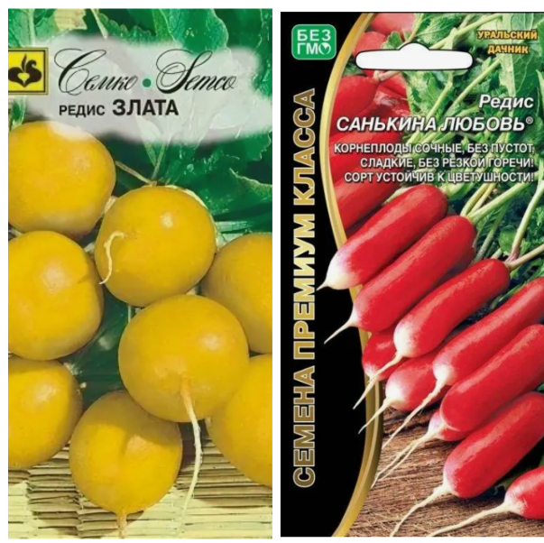 Сорта редиса, устойчивые к цветушности